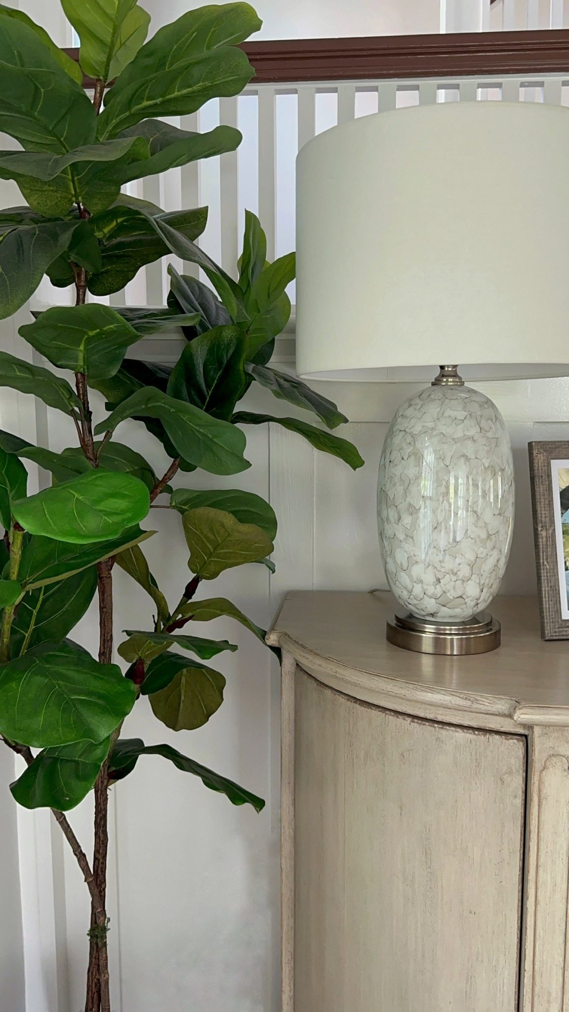 A white dresser with a large plant in front of it beautifully enhances the interior design.
